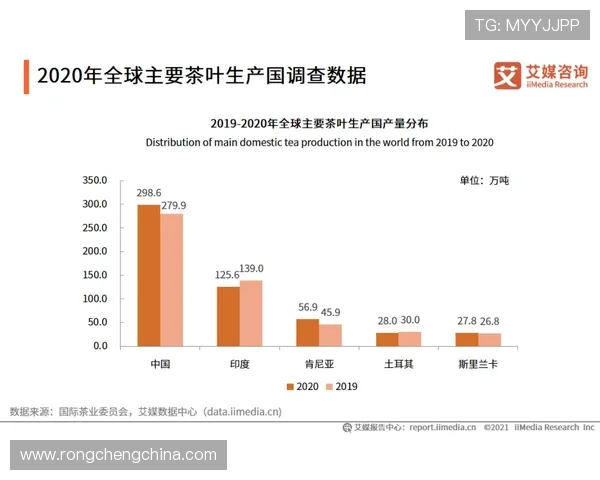 开云体育官方网未来发展规划与创新方向，展望平台持续优化与扩展的新动态