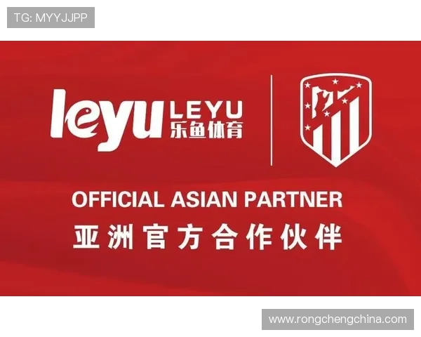 乐鱼体育app官网安全保障措施，保障用户个人信息安全与资金交易的可靠性