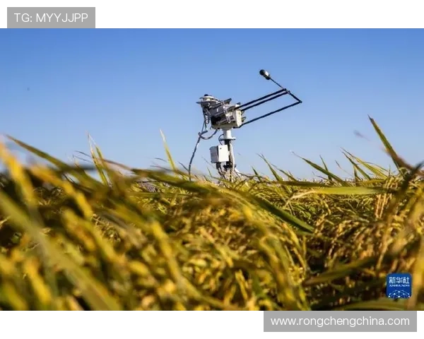 开云体育手机娱乐：全面解析最新体育赛事资讯与丰富的手机娱乐玩法指南